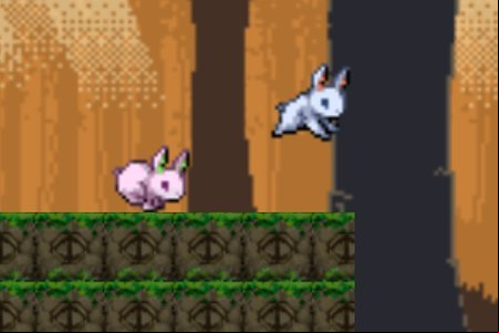 Bunny Runny