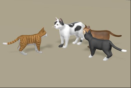 Cat Life Simulator