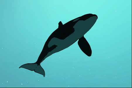 Killer Whale